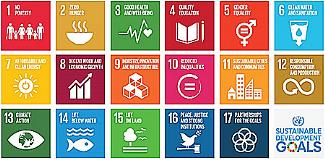 The Sustainable Development Goals (SDGs): Where do nurses fit in?