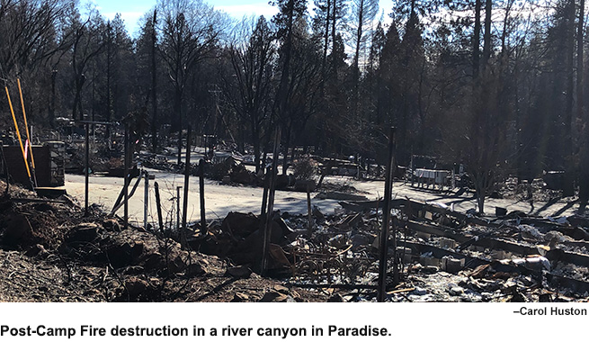 Post-Camp Fire destruction in Paradise